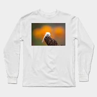 White Moth Long Sleeve T-Shirt